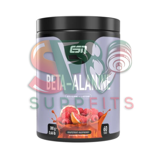 بتا آلانین ای اس ان ESN Beta Alanine
